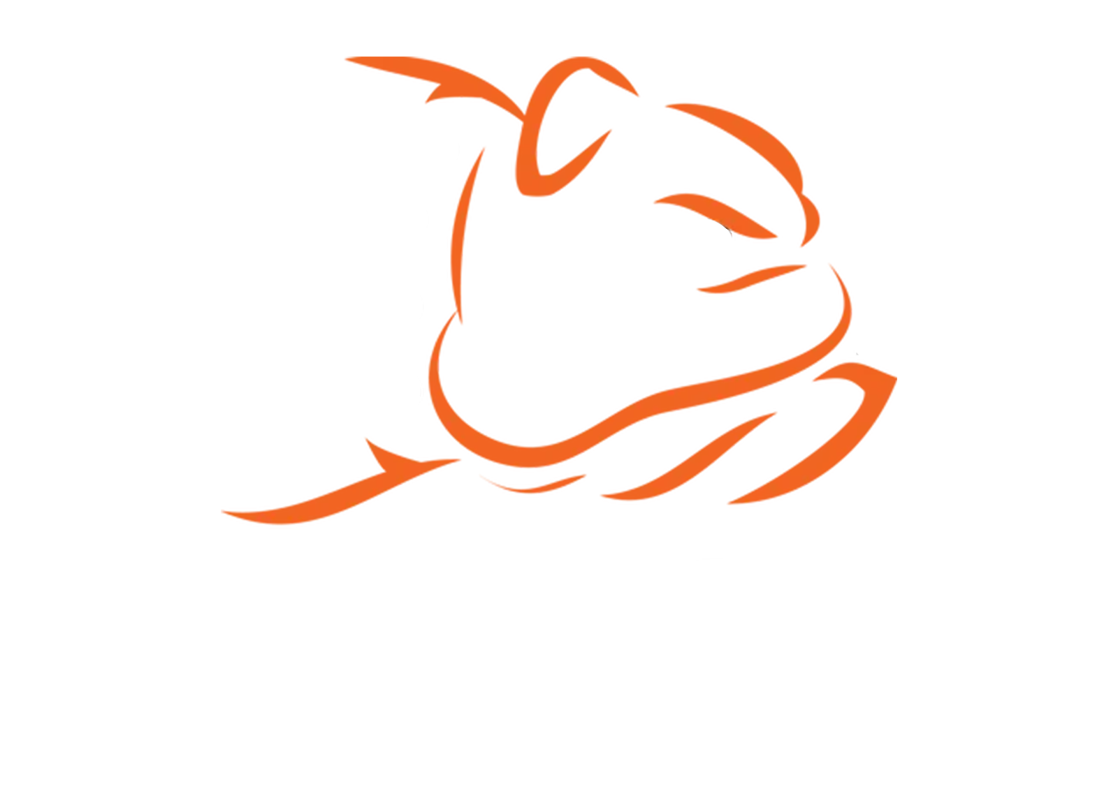 Bad Boy Mowers Logo